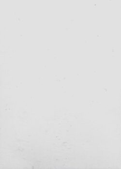 IGNITE WRESTLING 2020 – HAWLEE CROMWELL | CRAZY CARD COLLECTOR®