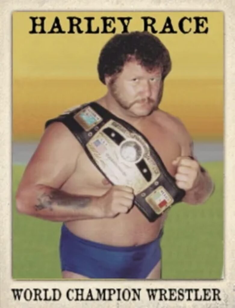 LJACARDS WORLD CHAMPION WRESTLERS SERIES HARLEY RACE CRAZY CARD COLLECTOR